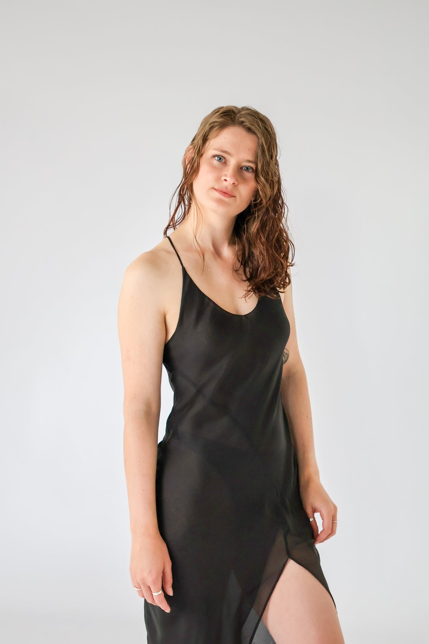 Eva Sheer Silk Chiffon Gown